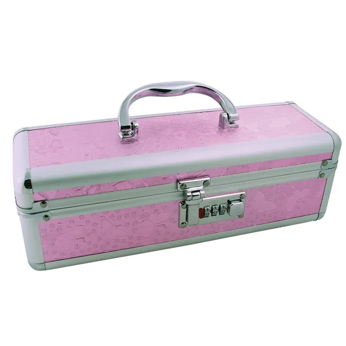 Vibrators BMS Toy Box Lockable CasePink 12x4x4