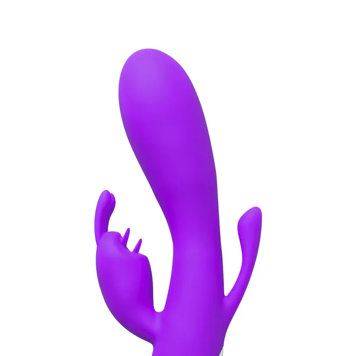 Vibrators Rechargeable Double Rabbit Vibrator Purple Various brands Vibrators Rechargeable Double Rabbit Vibrator Purple Various brands
