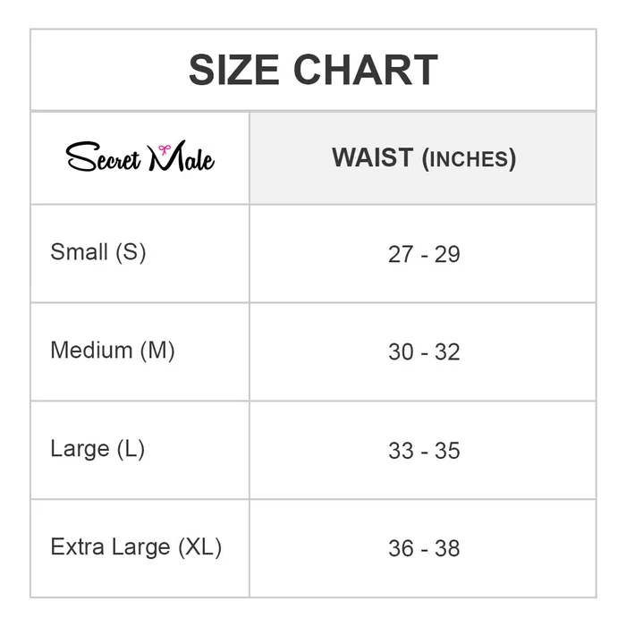 Male Sex Toys Secret Male Secret Male Steel Ring Sheer Bikini